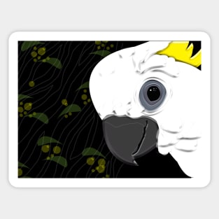 Cockatoo with Wattle Sticker